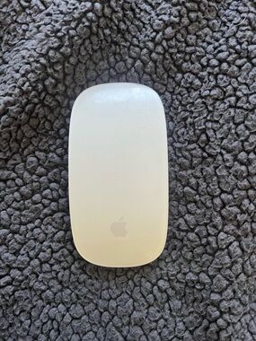 Apple Wireless Mouse in Silver and Black